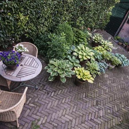 De Schiedamse Oda ve Kahvaltı Schiedam