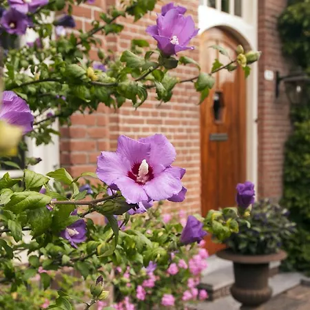 De Schiedamse Schiedam