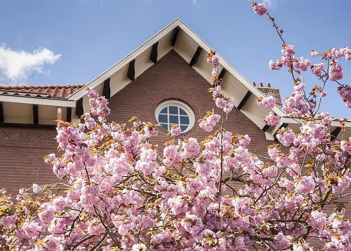 De Schiedamse Couette-café
