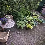 De Schiedamse ベッド・アンド・ブレックファスト スキーダム