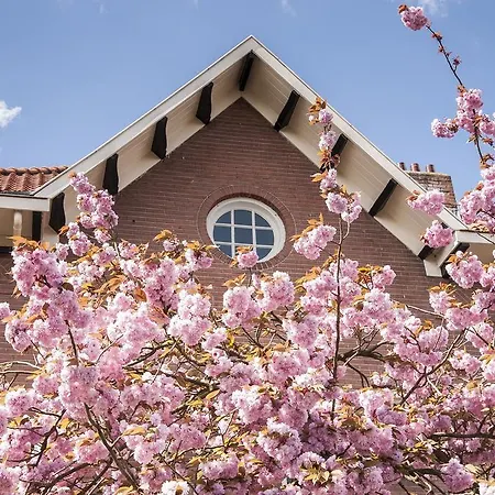 De Schiedamse Bed & Breakfast