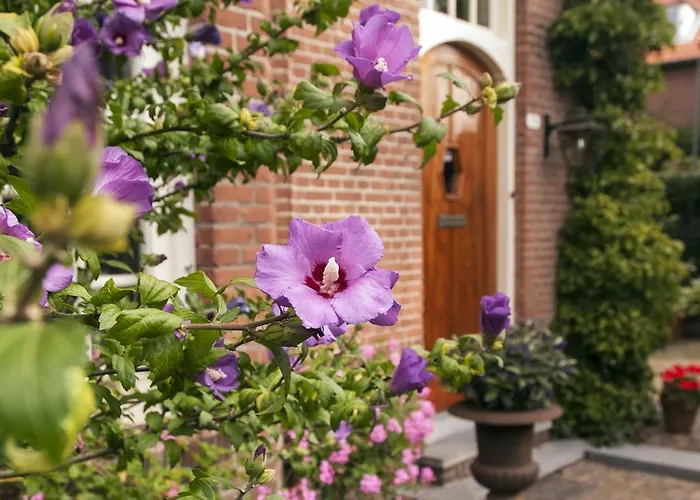 De Schiedamse Schiedam